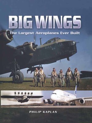 cover image of Big Wings